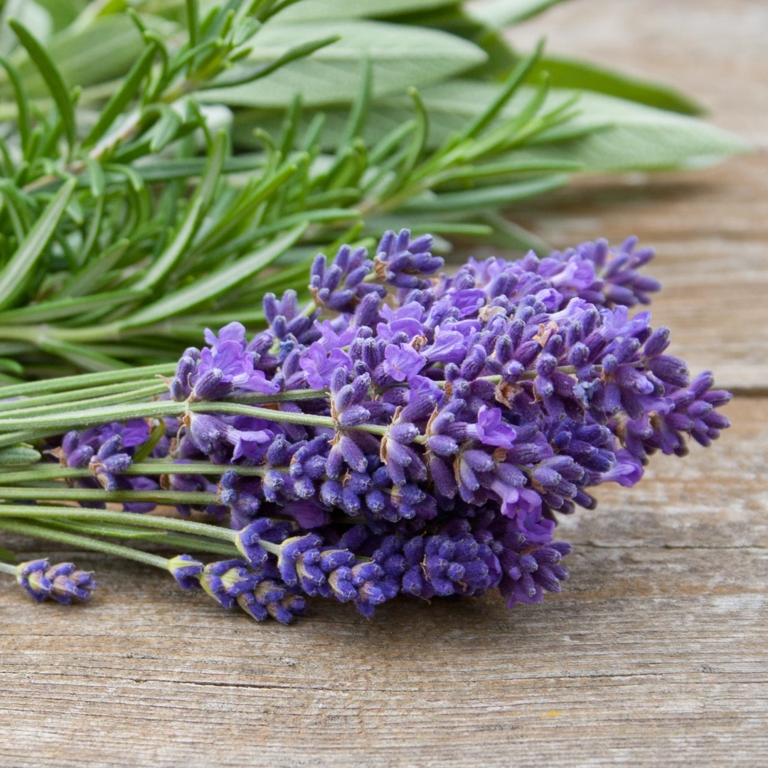 Rosemary Fragrance